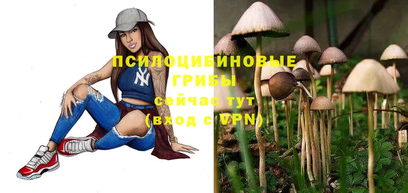 Псилоцибиновые грибы Magic Shrooms  Горбатов 